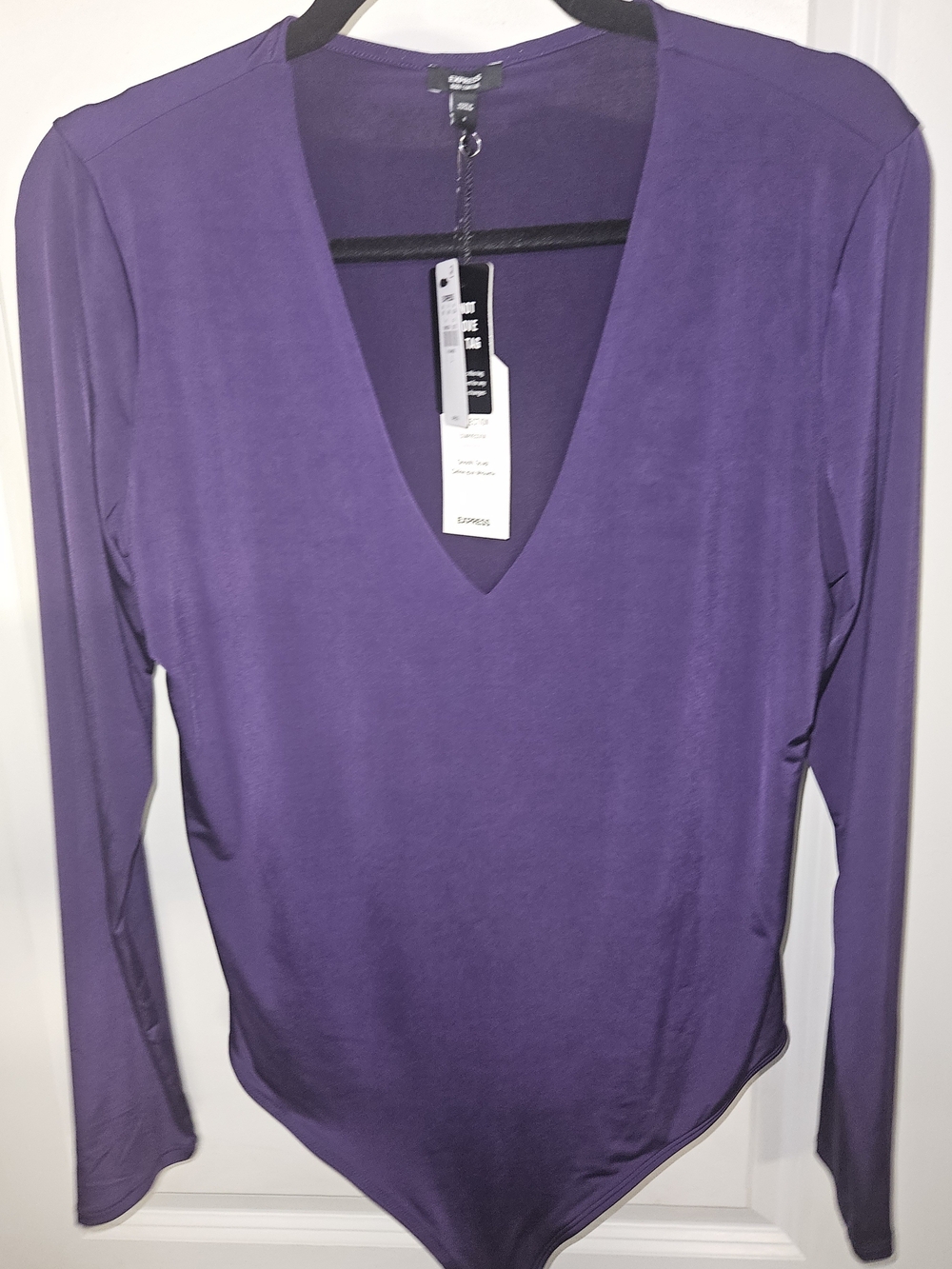 Express Deep Purple V-Neck Long Sleeve Bodysuit